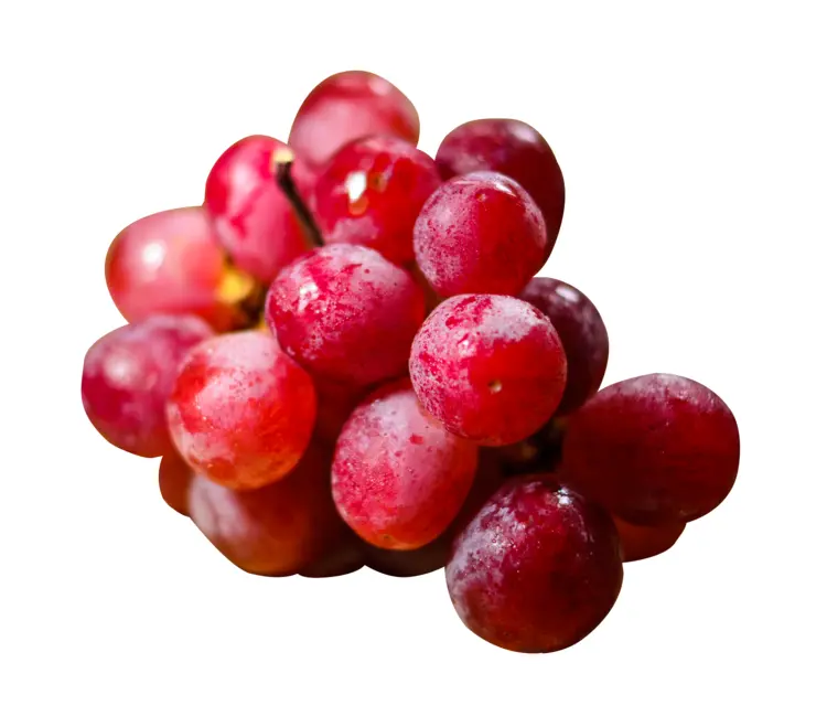 Juicy Red Grapes Bunch