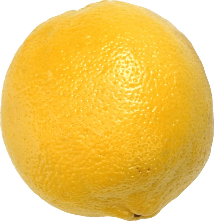 Fresh Yellow Lemon