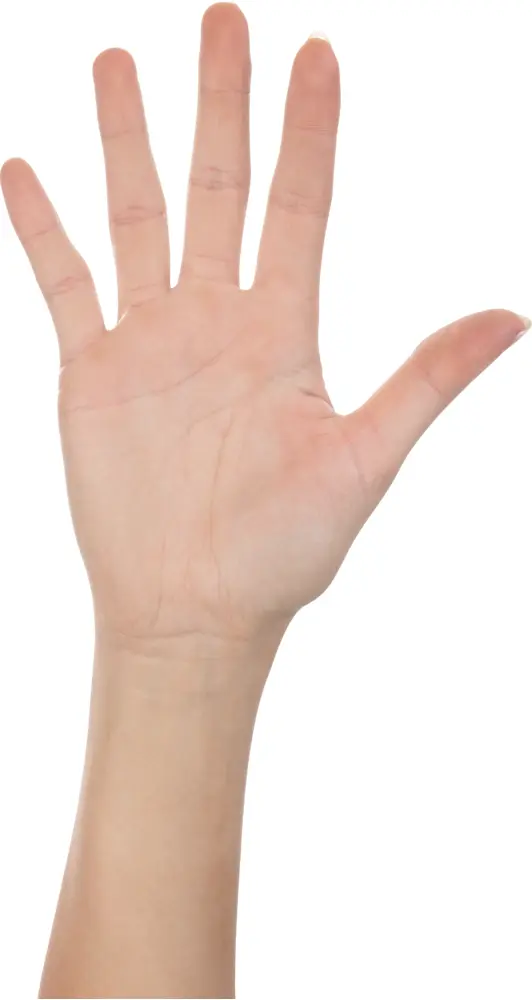Open Palm Hand