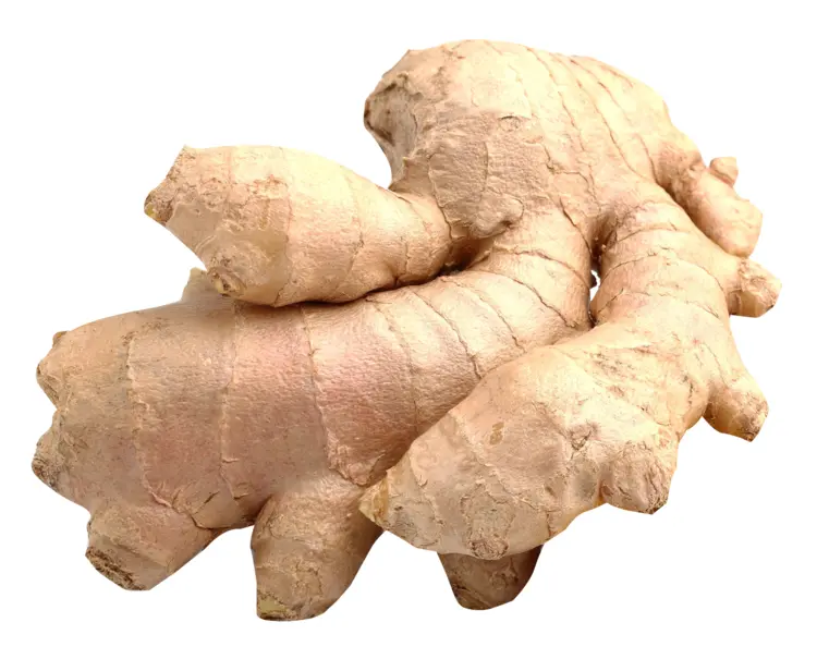 Fresh Ginger Root