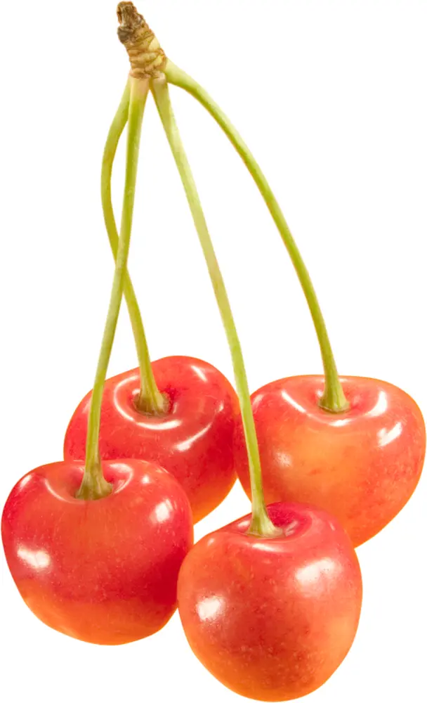Fresh Yellow Cherries Cluster