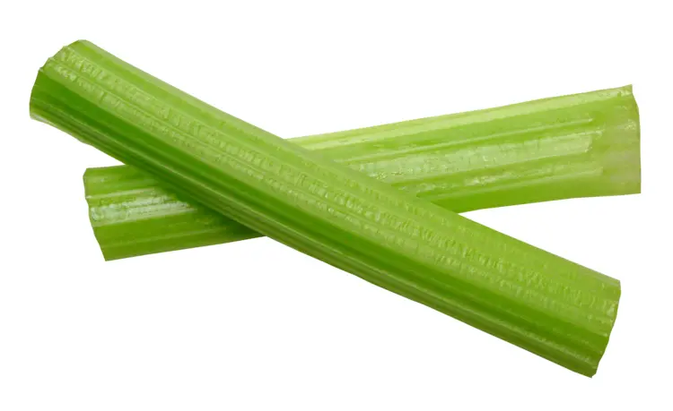 Crunchy Green Celery Stalks