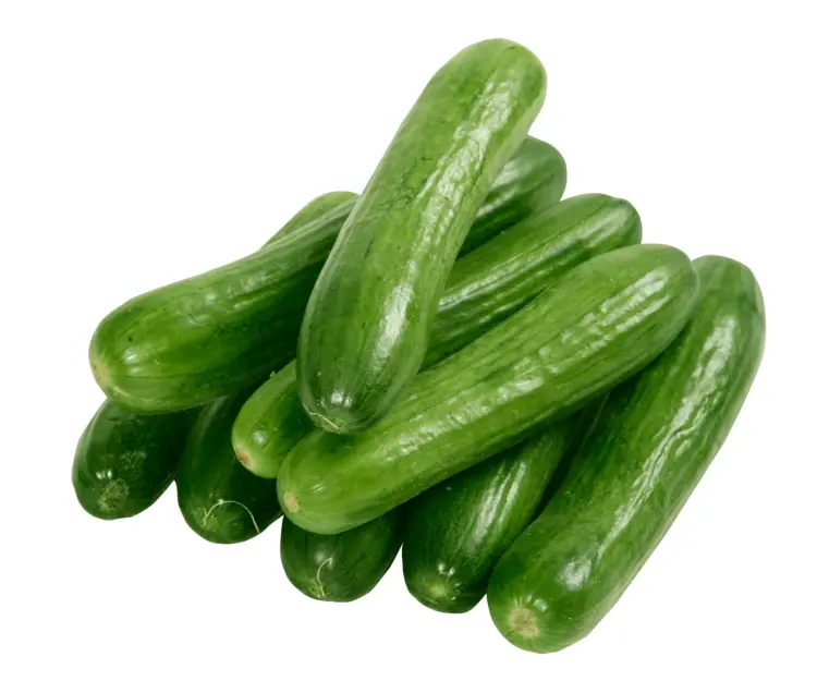 Green Cucumbers Pile