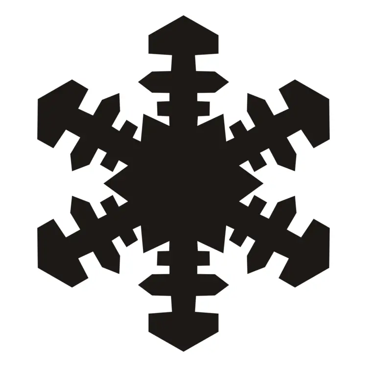 Black Snowflake Symbol