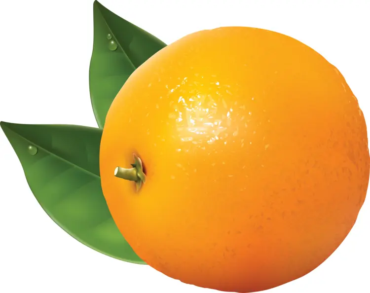 Single Orange with Leaves