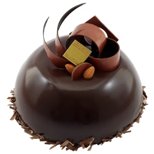 Elegant Chocolate Dome Cake