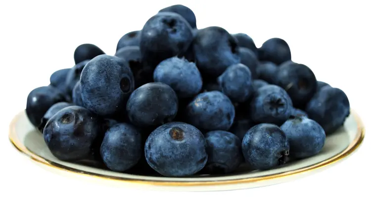 Blueberries on a Plate