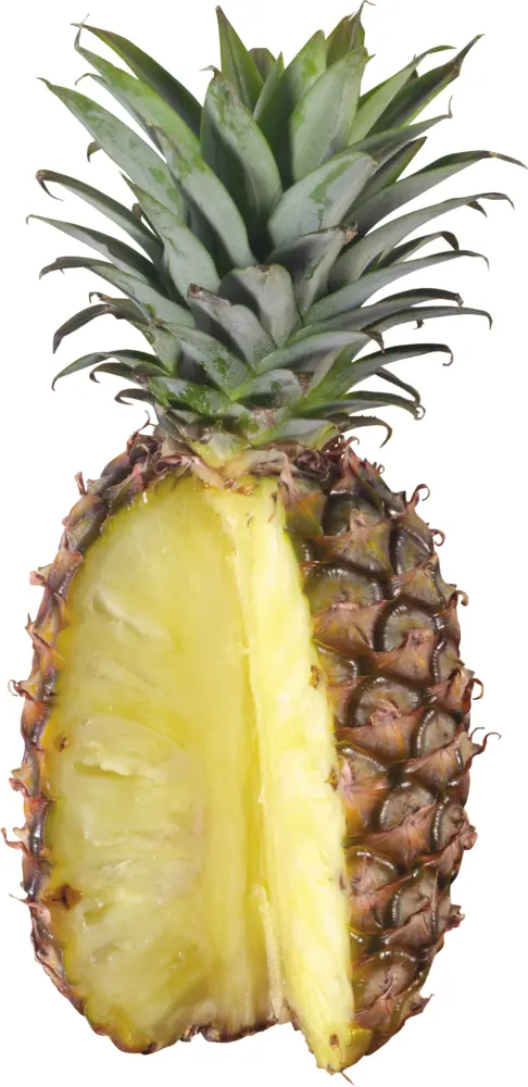 Half Pineapple