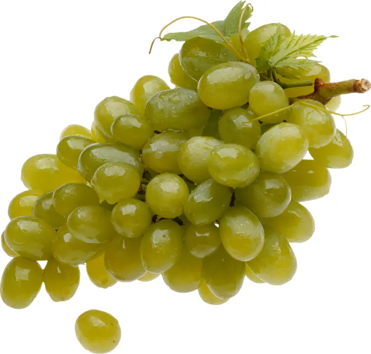 Fresh Green Grapes Bunch