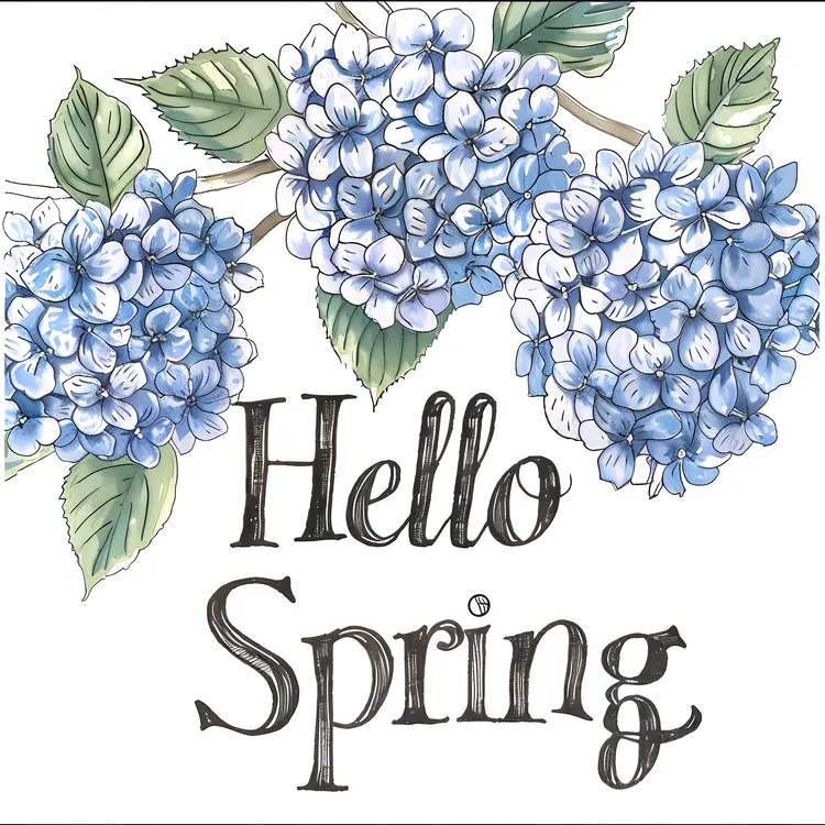 Beautiful hydrangeas in spring