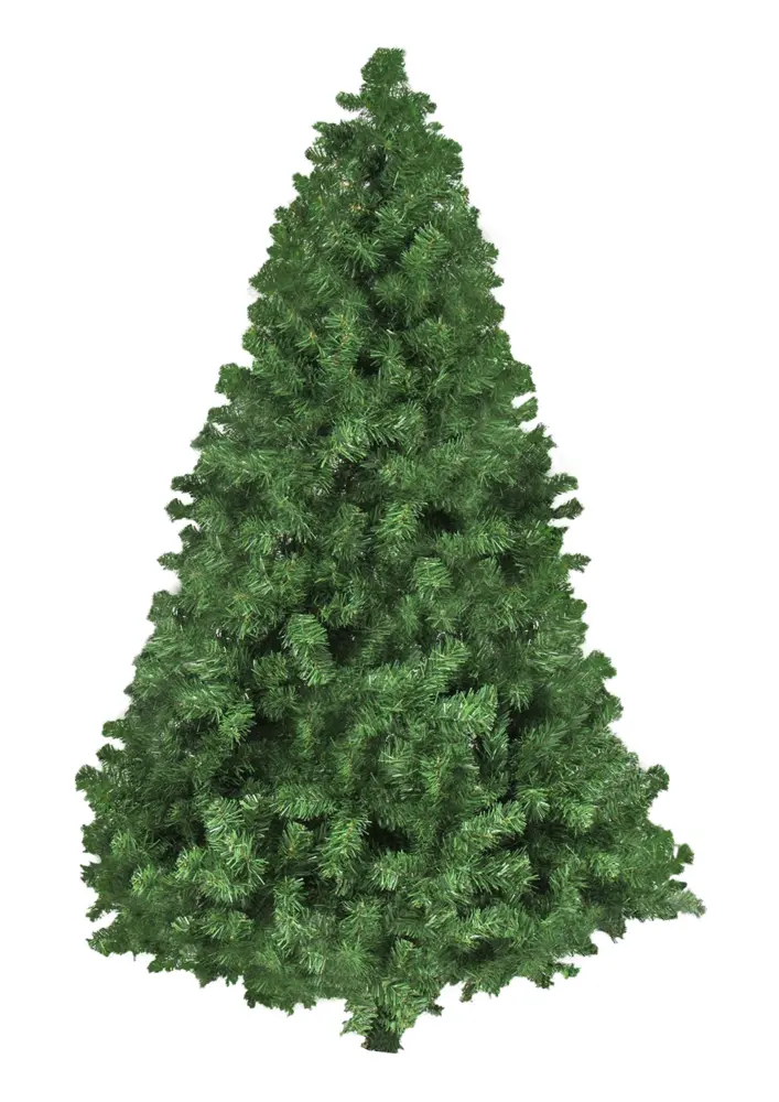 Green Evergreen Tree