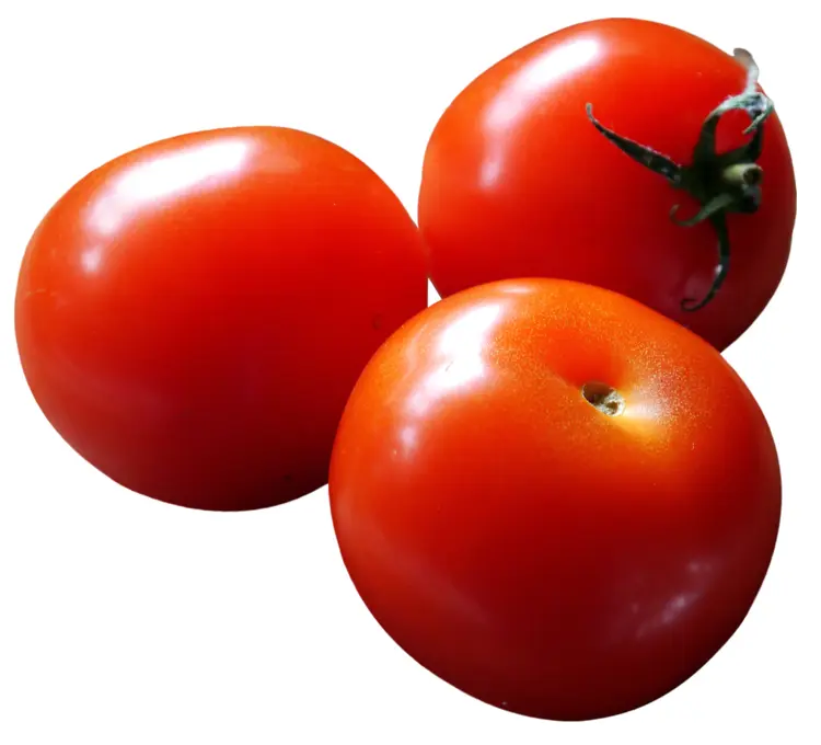 Fresh Red Tomatoes