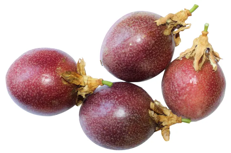 Purple Passion Fruits