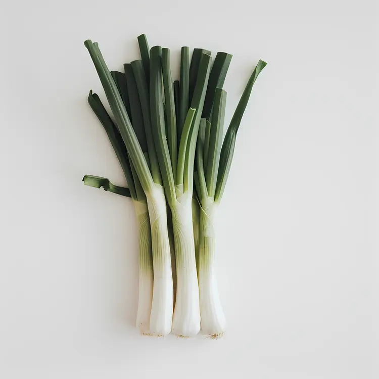Green Onions Photography