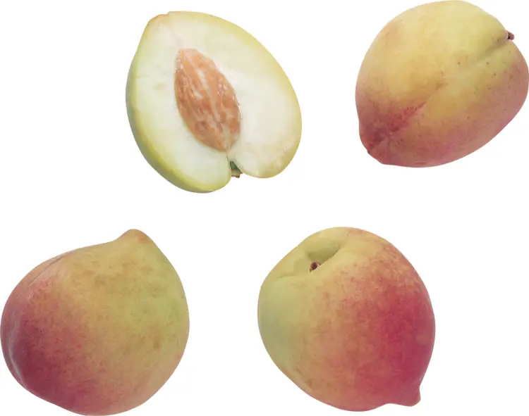 Fresh Juicy Peaches