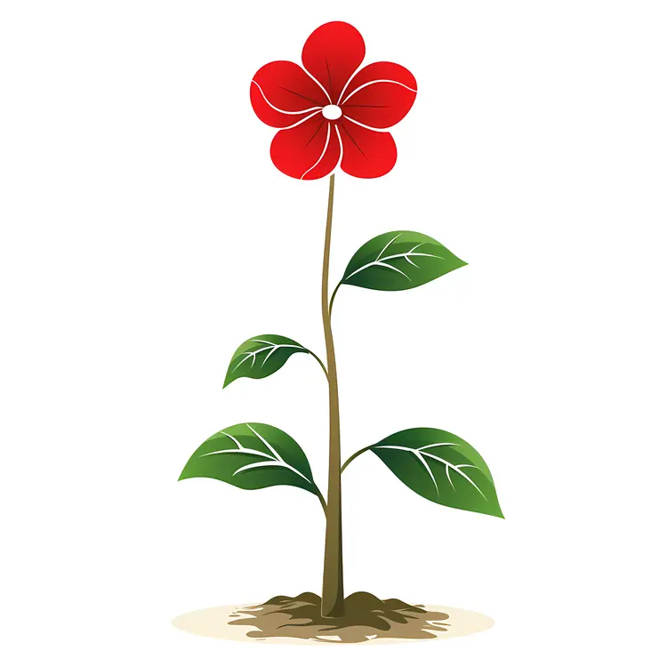 Red Flower in Bloom