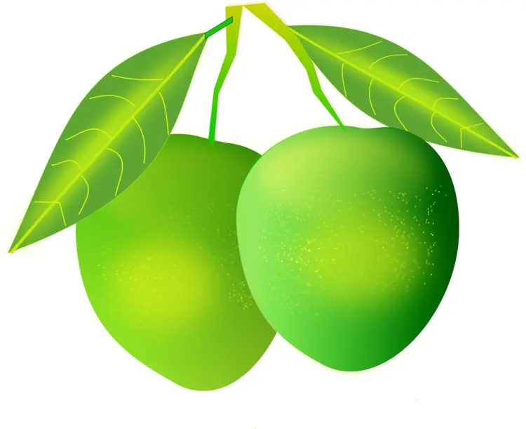 Green Mangoes with Leaves