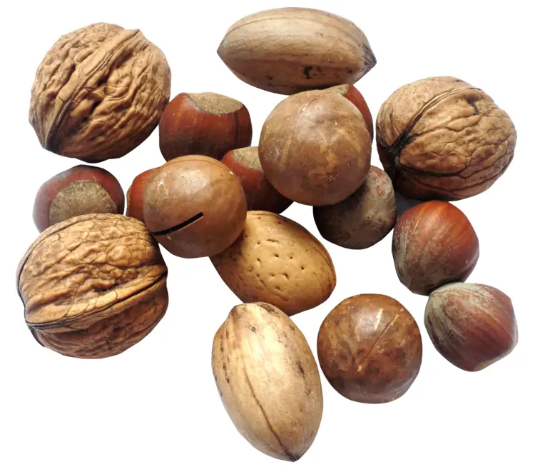 Assorted Mixed Nuts in Shells