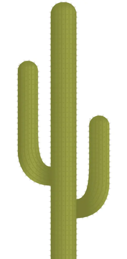 Tall Green Cactus