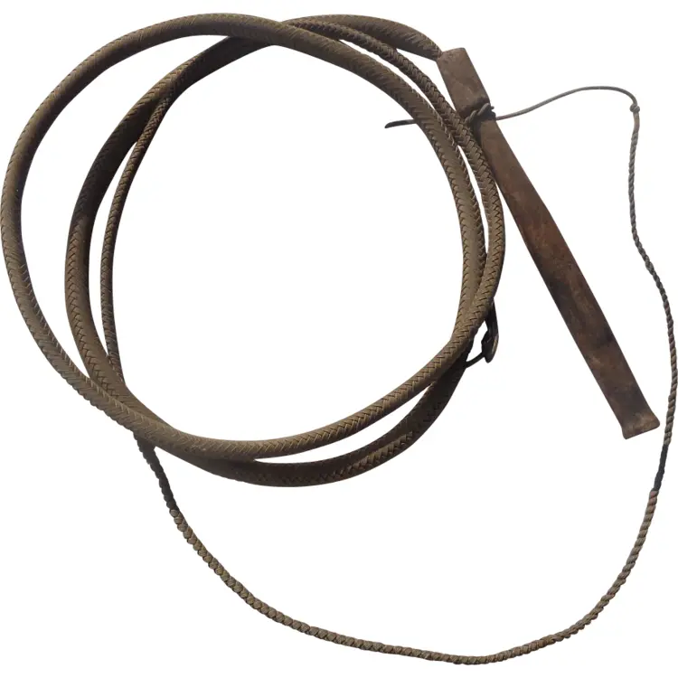Brown Whip for Riding