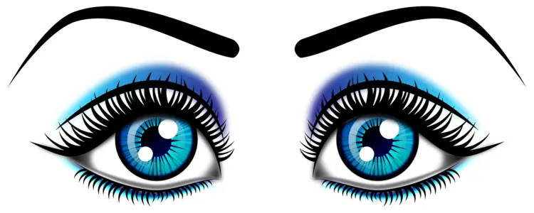 Blue Eyes with Eyebrows and Eyelashes