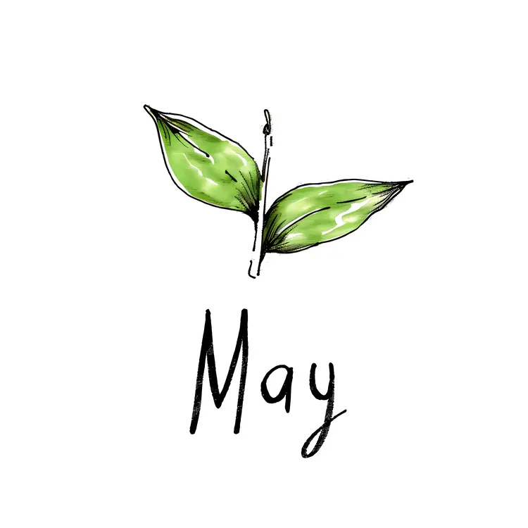May with Simple Green Leaves