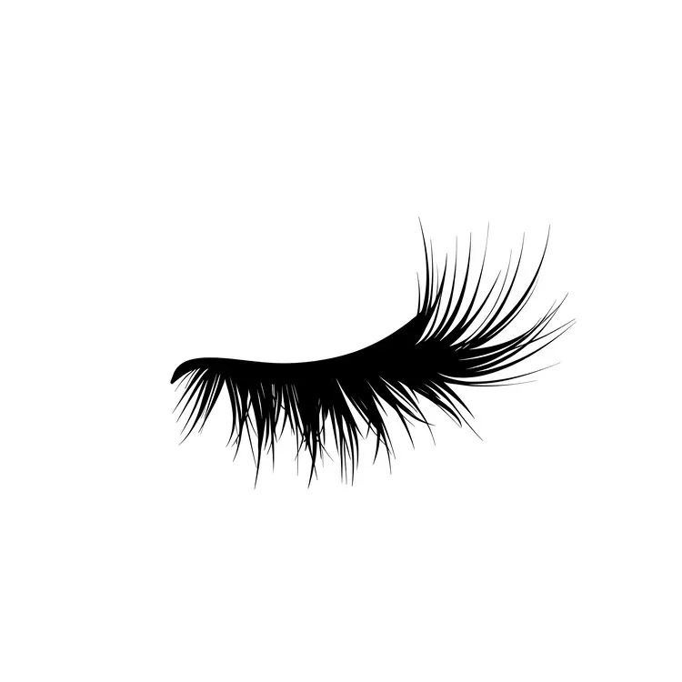 Simple Eyelash Illustration