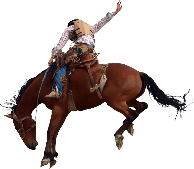 Rodeo Rider on Bucking Horse