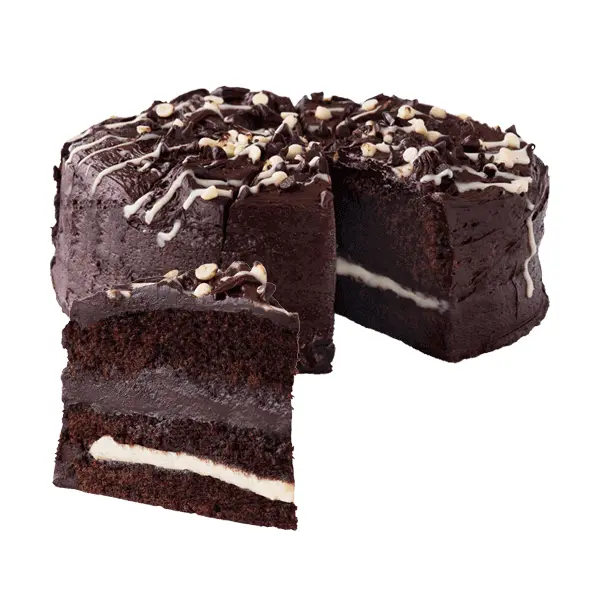 Delicious Chocolate Cake with Layers