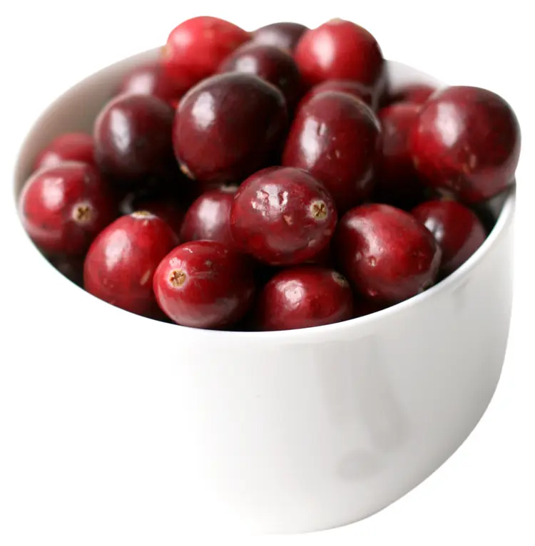 Bowl of Fresh Cranberries