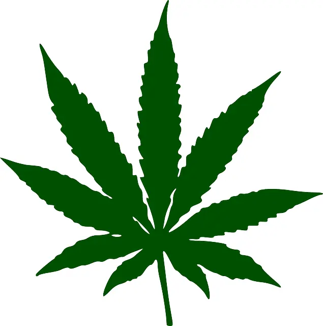 Green Cannabis Leaf
