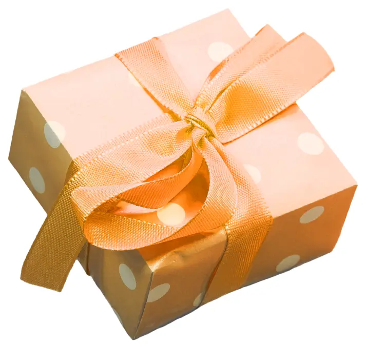 Polka Dot Gift Box with Ribbon