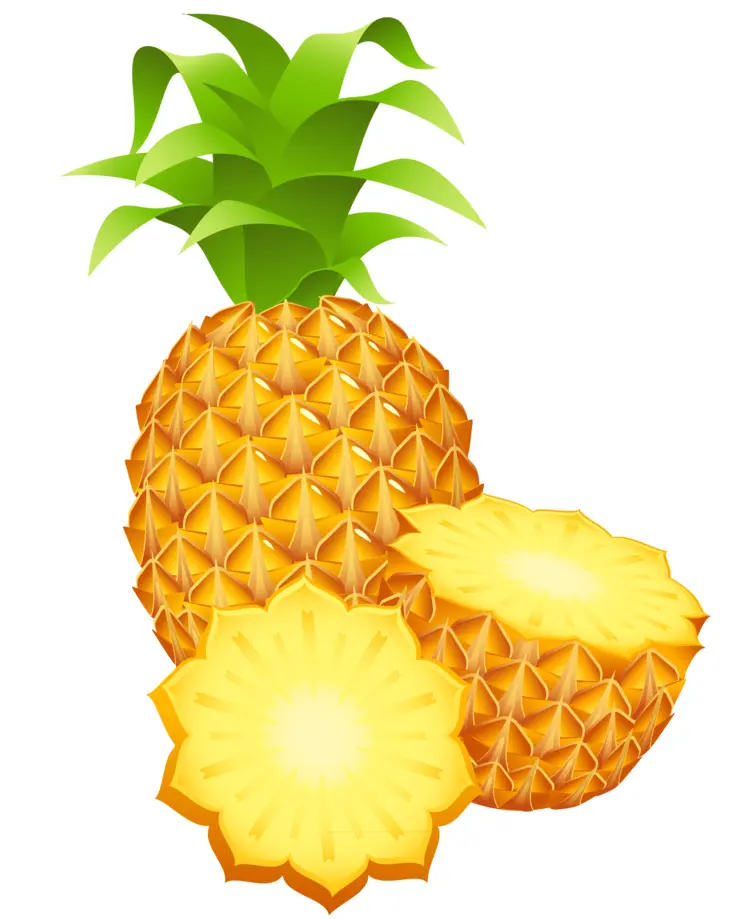 Sliced Pineapple with Green Leaves