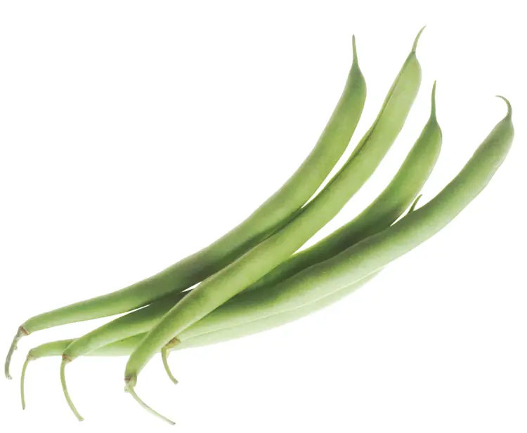 Fresh Green Beans