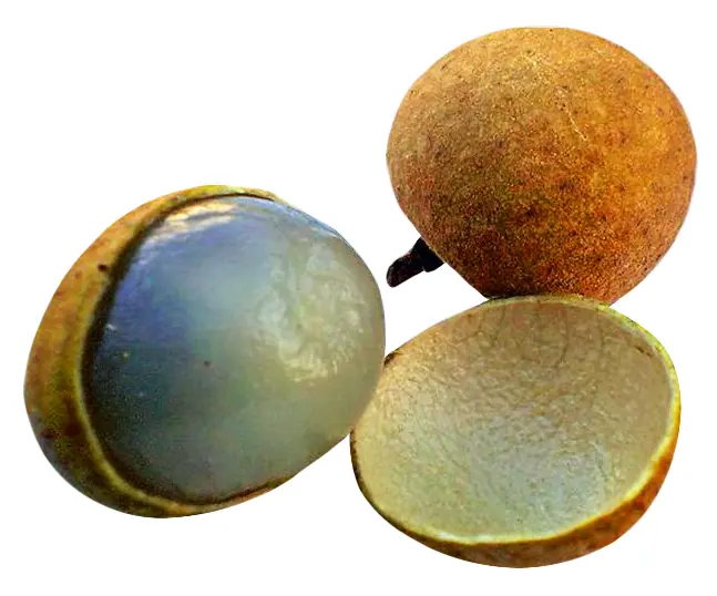 Peeled Longan Fruit with Shell