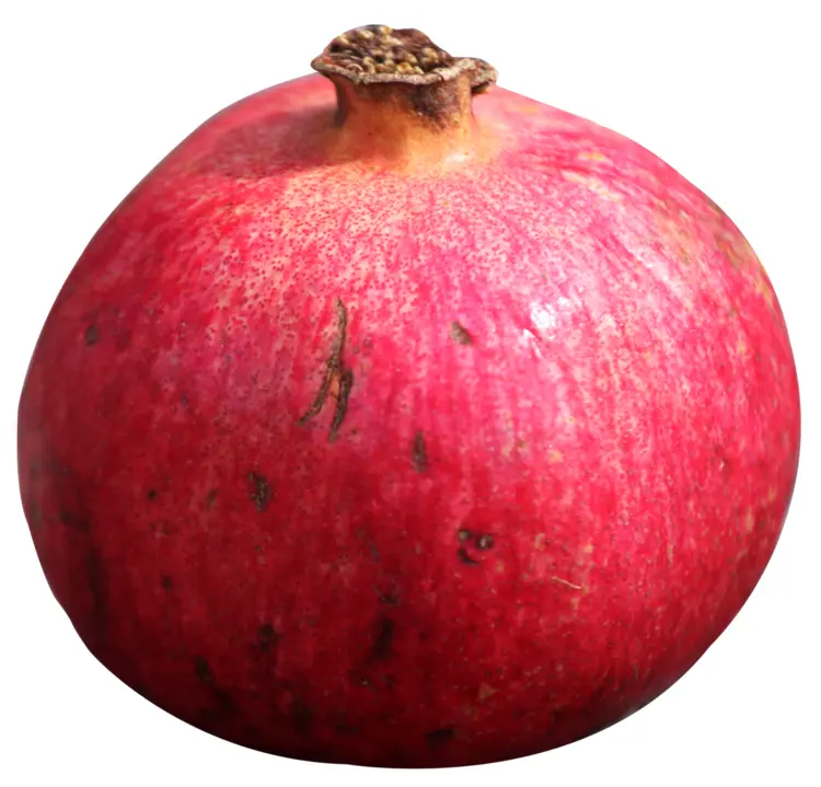 Whole Red Pomegranate