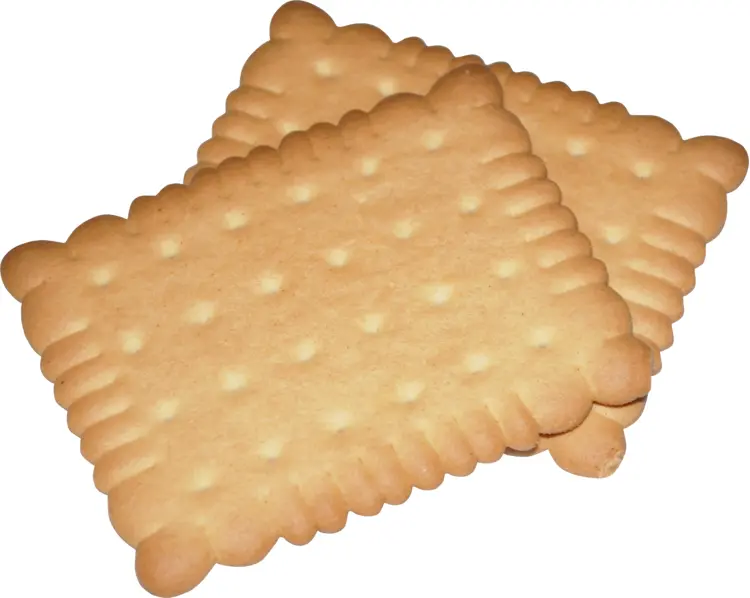Crispy Square Biscuits