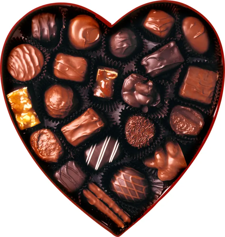 Heart-Shaped Box of Chocolates