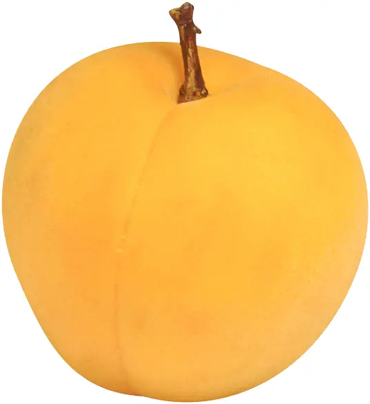 Single Fresh Yellow Apricot with Stem