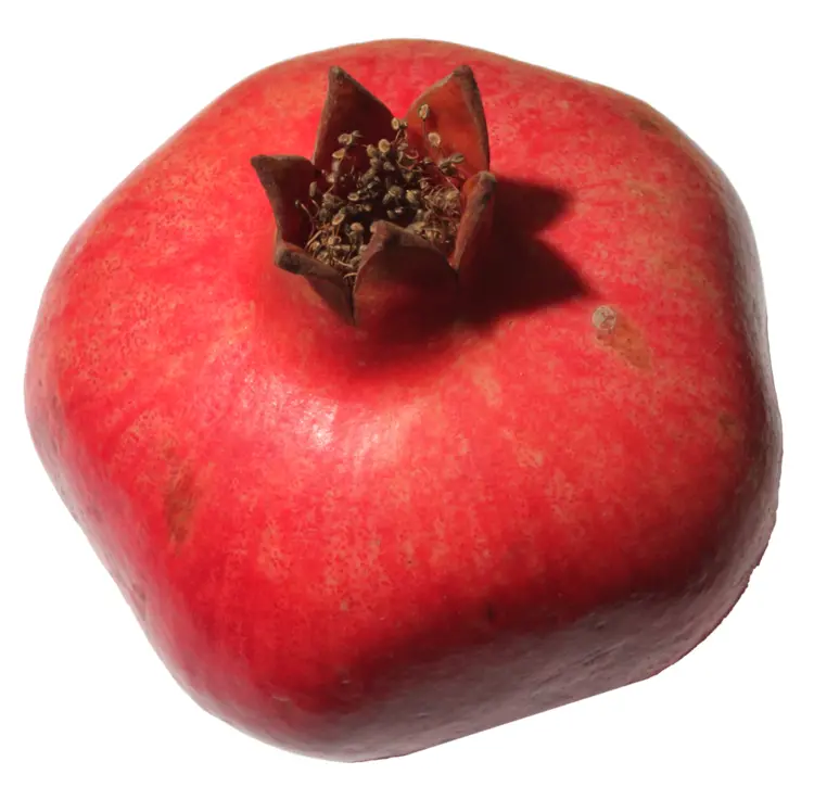 Red Pomegranate Fruit