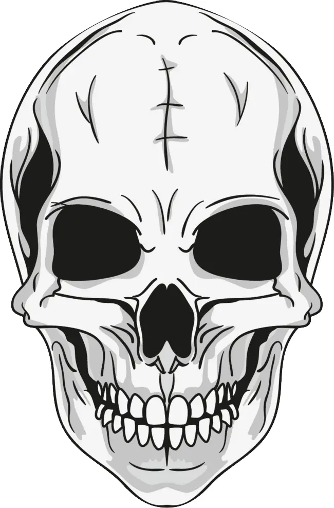 Realistic Skull Illustration