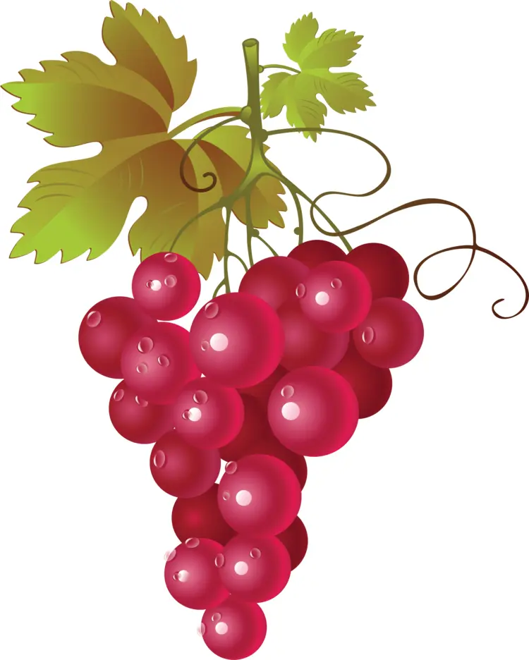 Juicy Red Grapes with Green Leaves