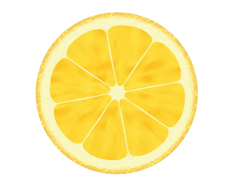 Round Lemon Slice