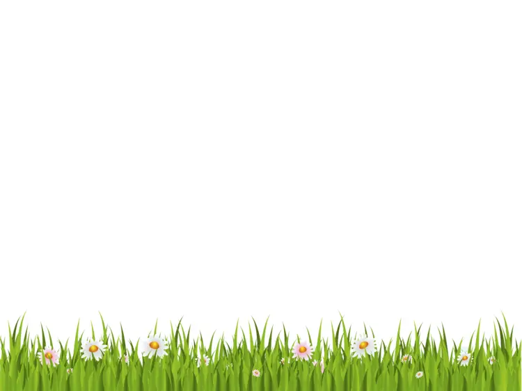 Green Grass with Flowers in Spring