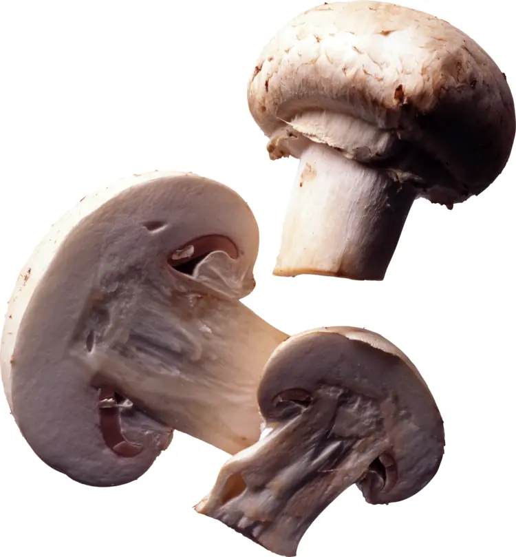 Sliced White Mushrooms