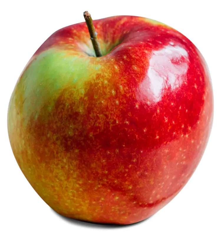 Red and Green Apple