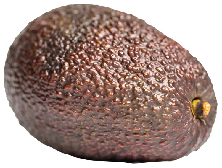 Whole Avocado