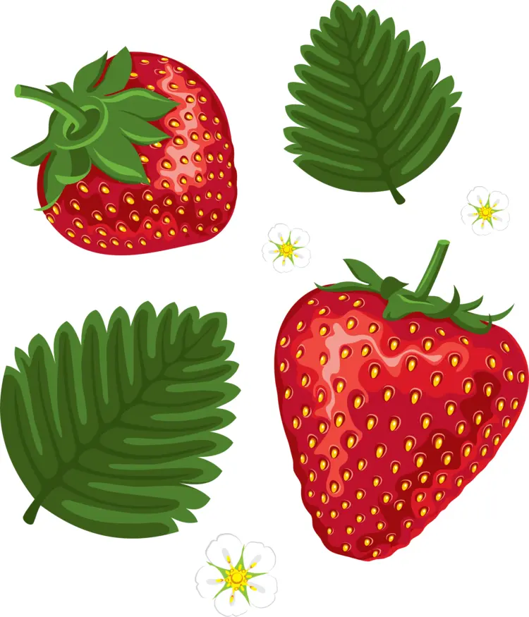 Juicy Red Strawberries
