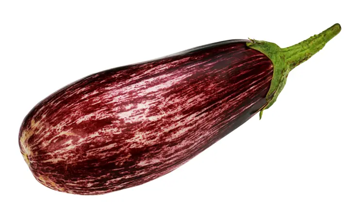 Fresh Striped Eggplant