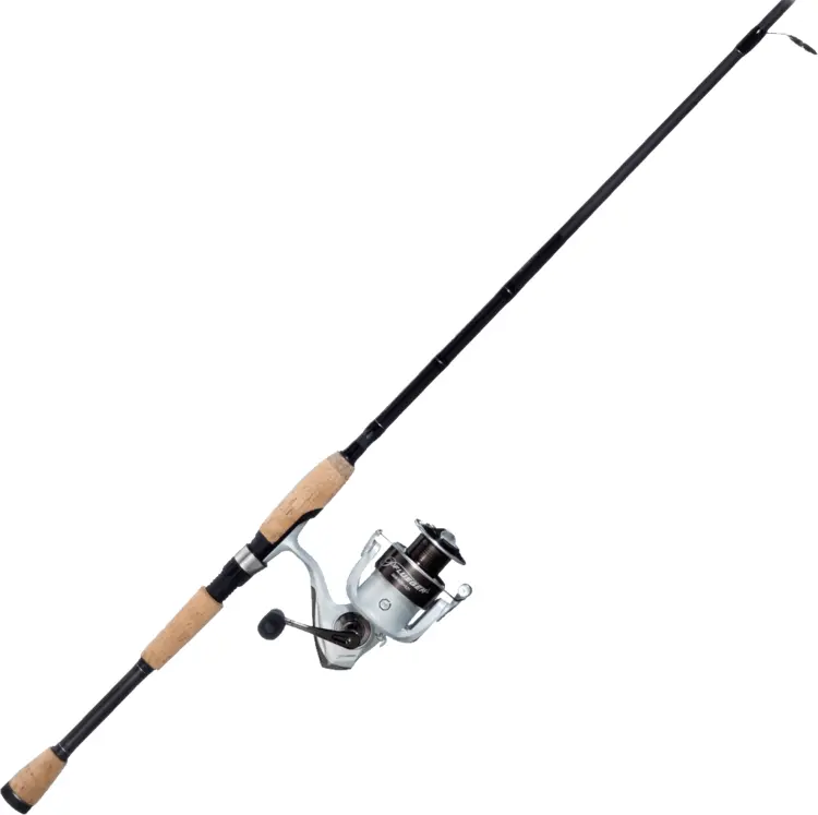 Fishing Rod with Reel